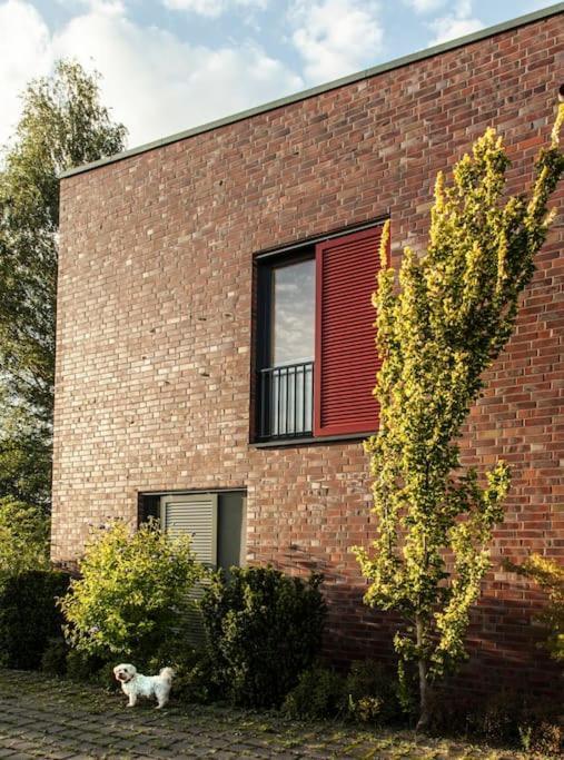 Schickes Wohnstudio Mit Garten Am Aasee Ibbenbüren Exterior foto